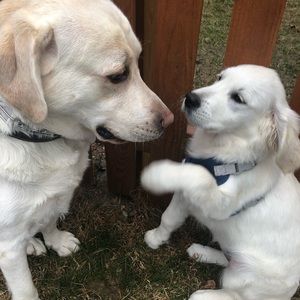 Meet your Posher, Caroline